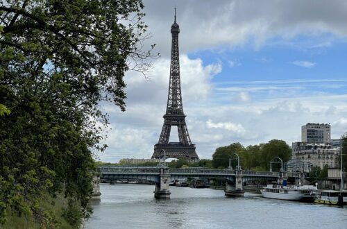 la Tour Eiffel depuis l île aux cygnes