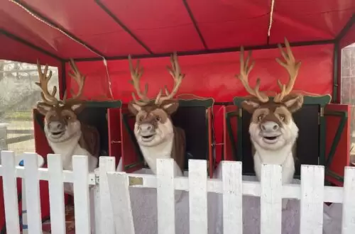 Bonjour les Rennes !