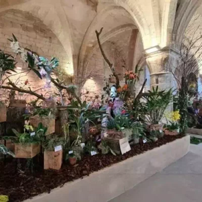 Vaucelles à Cambrai