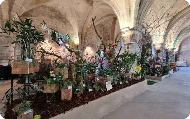 Vaucelles à Cambrai