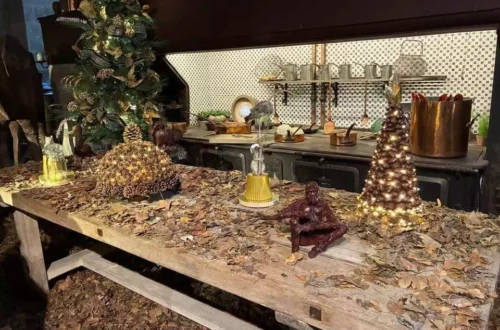 Vaux le vicomte (20)