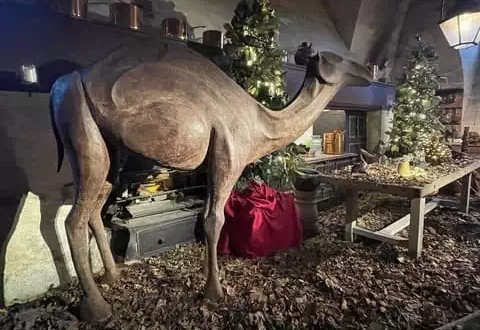 Vaux le vicomte (21)