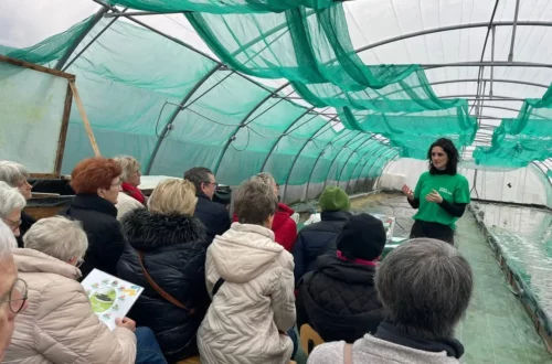 Erika Spirulina, Sortie Tourcoing loisirs Sortir