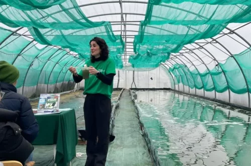 Erika Spirulina, Sortie Tourcoing loisirs Sortir