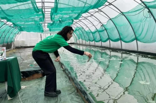 Erika Spirulina, Sortie Tourcoing loisirs Sortir