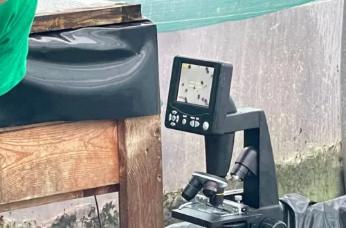 Erika Spirulina, Sortie Tourcoing loisirs Sortir