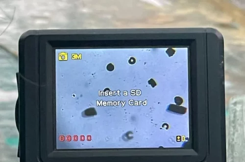 Erika Spirulina, Sortie Tourcoing loisirs Sortir