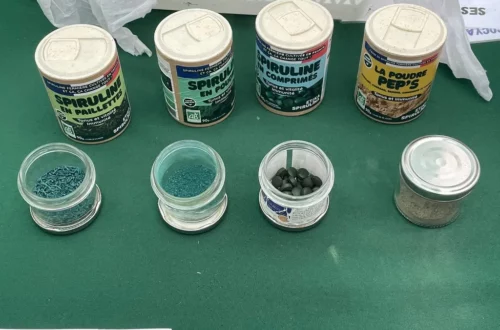 Erika Spirulina, Sortie Tourcoing loisirs Sortir