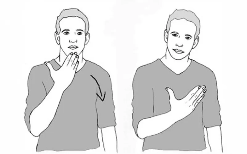 langue des signes tls