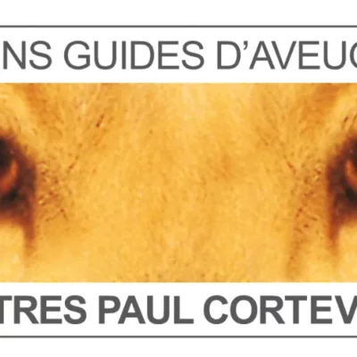 sortie chien aveugle Tourcoing loisirs sortir