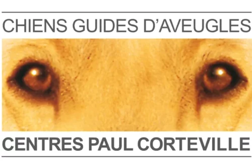 sortie chien aveugle Tourcoing loisirs sortir