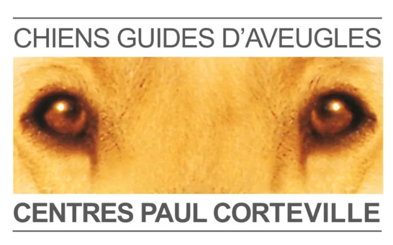 sortie chien aveugle Tourcoing loisirs sortir