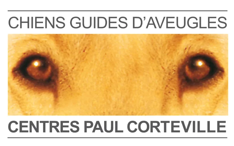 sortie chien aveugle Tourcoing loisirs sortir