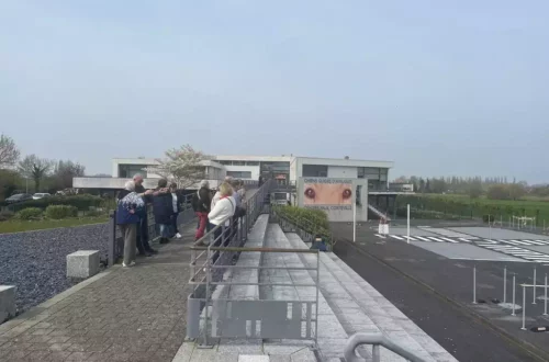 Chiens d'aveugles (1)