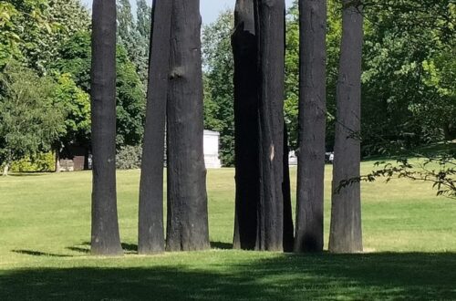 Escapade Seine et Marne Juin 2026