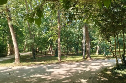 Escapade Seine et Marne Juin 2026
