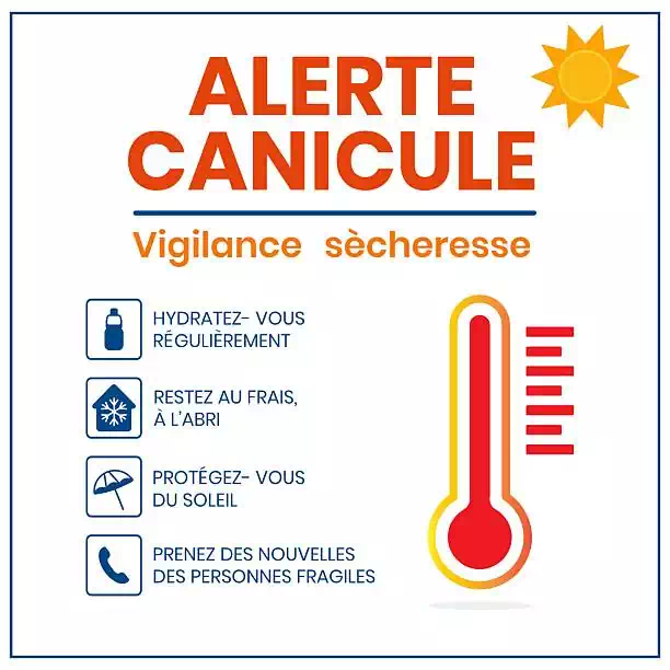 canicule
