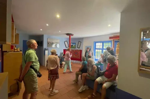 A group of seniors sits and stands in a sunlit community room, listening to a presenter near a red rug display.