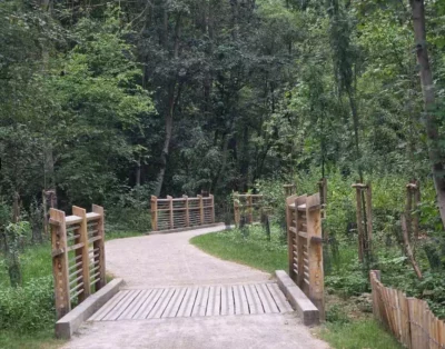 Wooden pedestrian bridge over a dirt path in a green forest park.