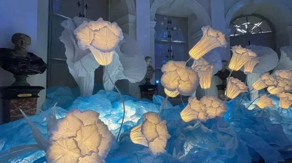 Vaux le vicomte (11)