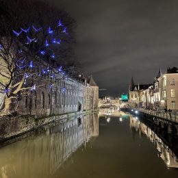 les oiseaux bleus,